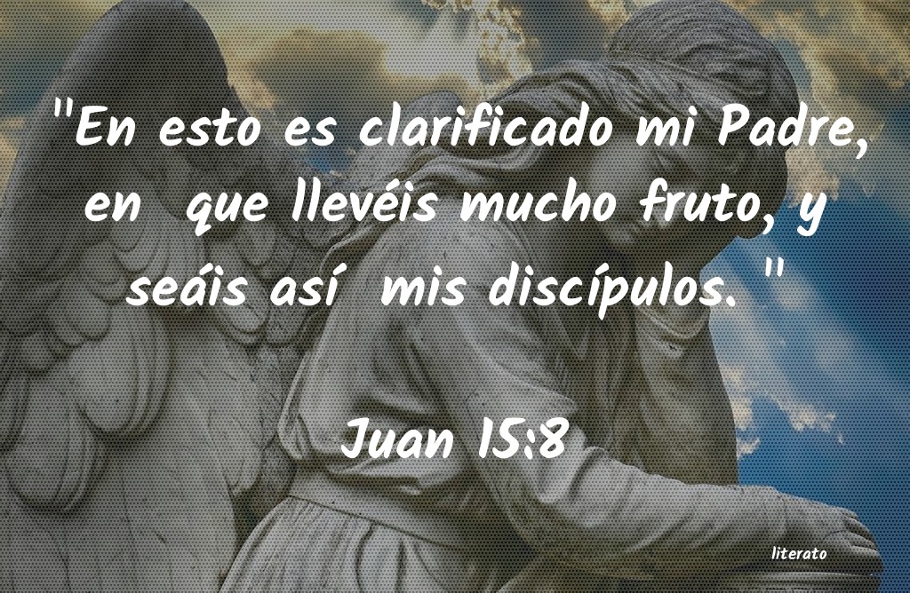 juan 15 1 8 biblia de jerusalen