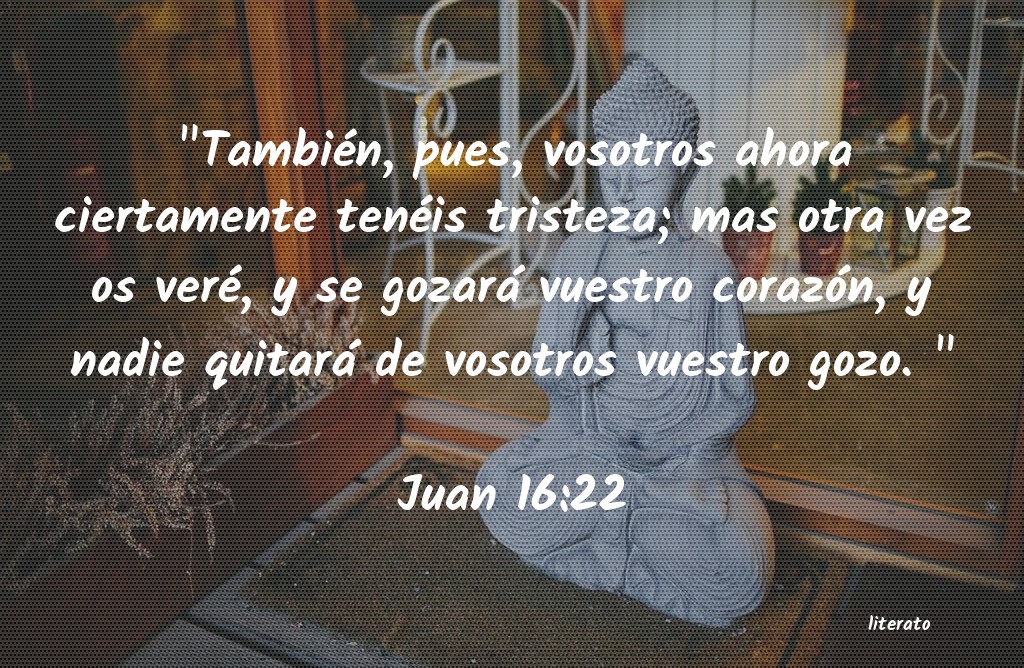 juan 16 22 biblia de jerusalen