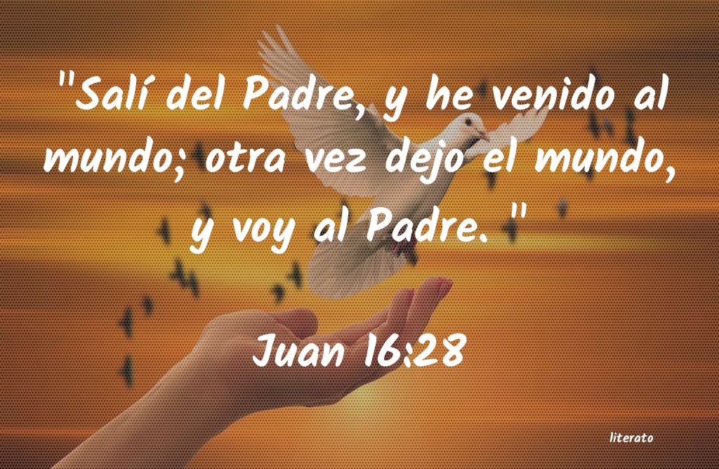 juan 6 28 biblia latinoamericana
