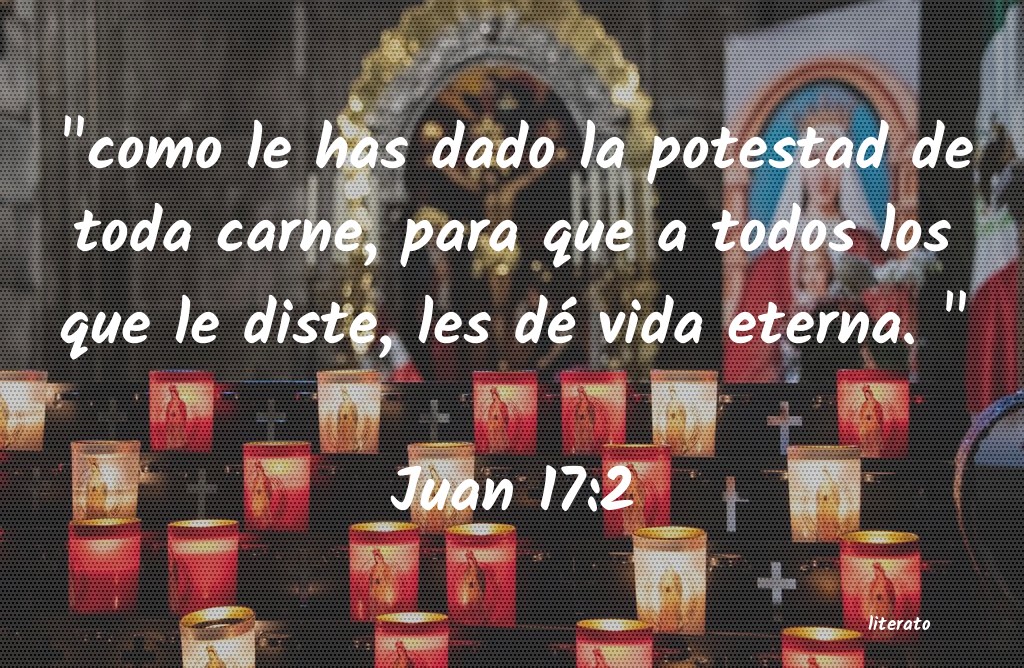 juan 2 13-17 biblia catolica