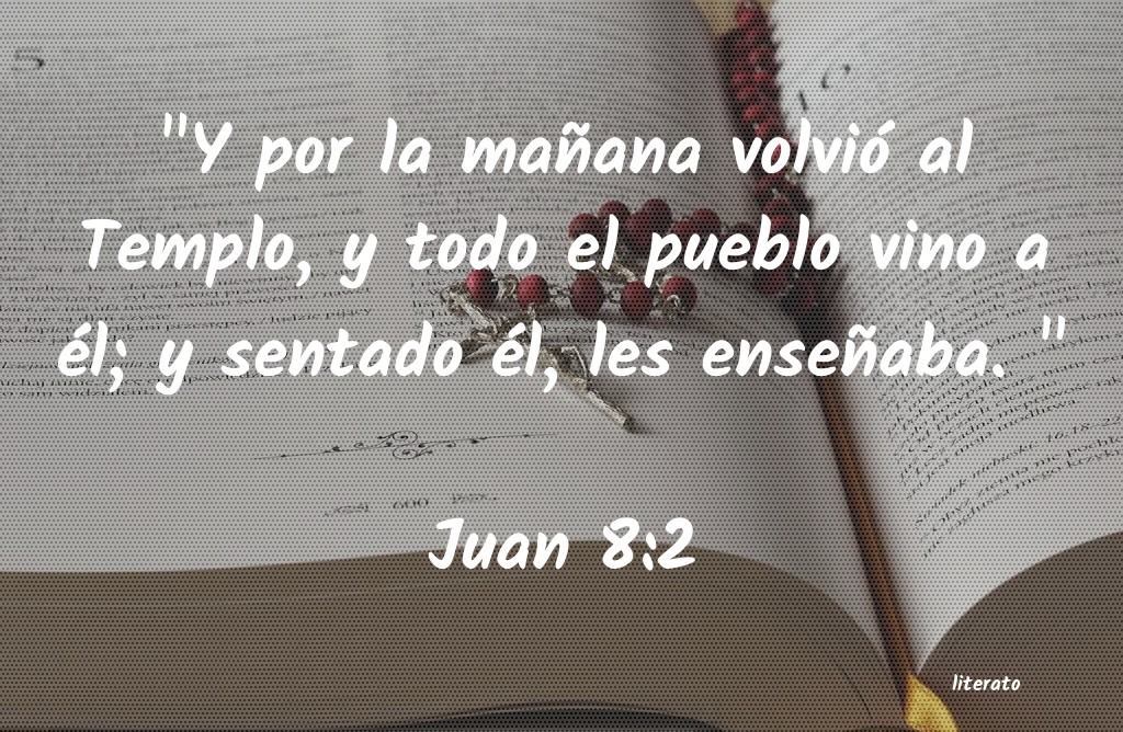 juan 8 2 11 biblia catolica
