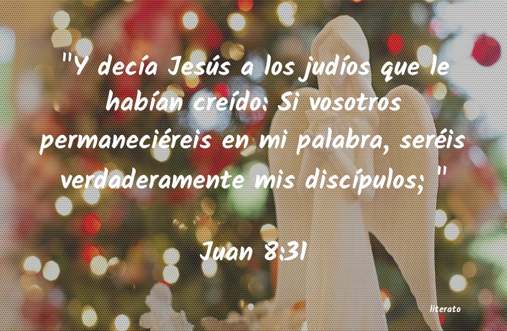 juan 8 1-11 biblia catolica latinoamericana