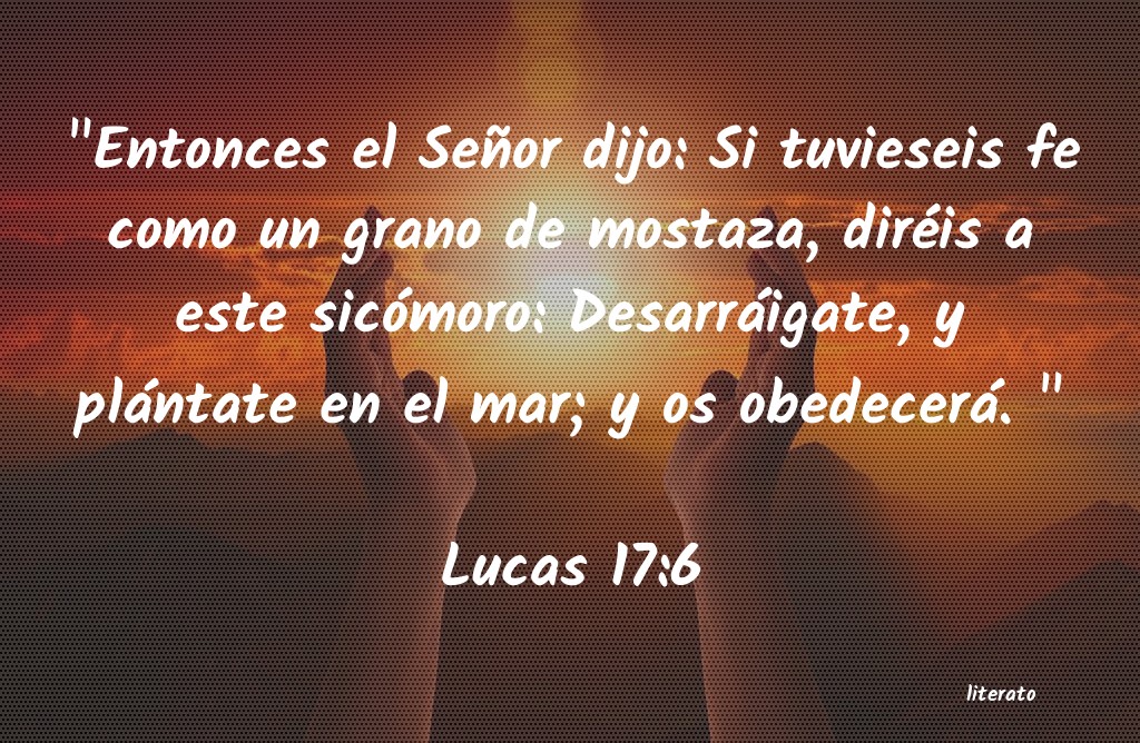 lucas 17 1 6 biblia catolica