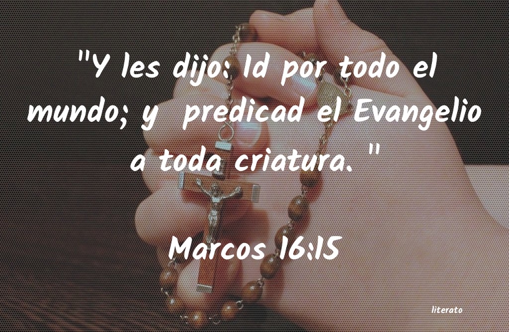 marcos 16 16 biblia catolica