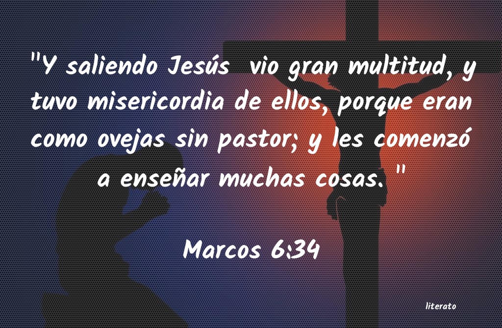 marcos 6 34-44 biblia catolica