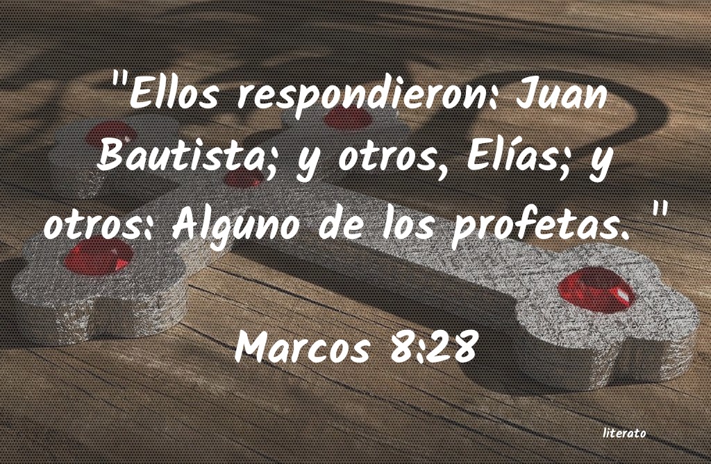 marcos 8 22 26 biblia latinoamericana