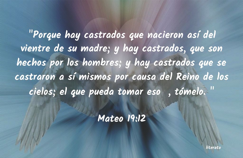 mateo 19 12