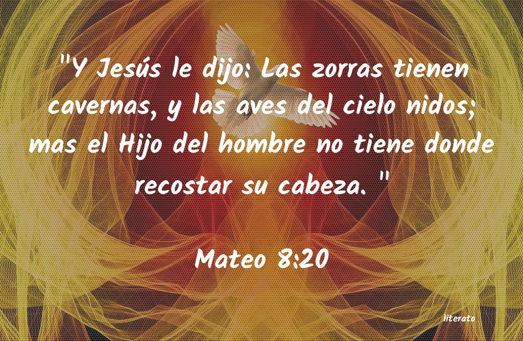 La Biblia Mateo 8 20 la-biblia-mateo-8-20
