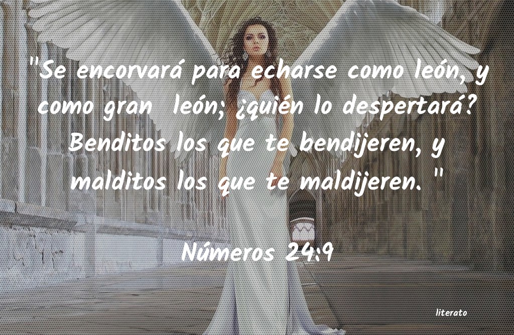 La Biblia Numeros 24 9