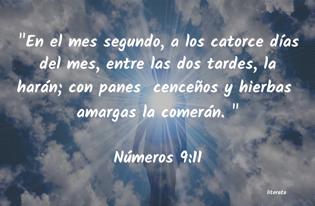 La Biblia Números 911
