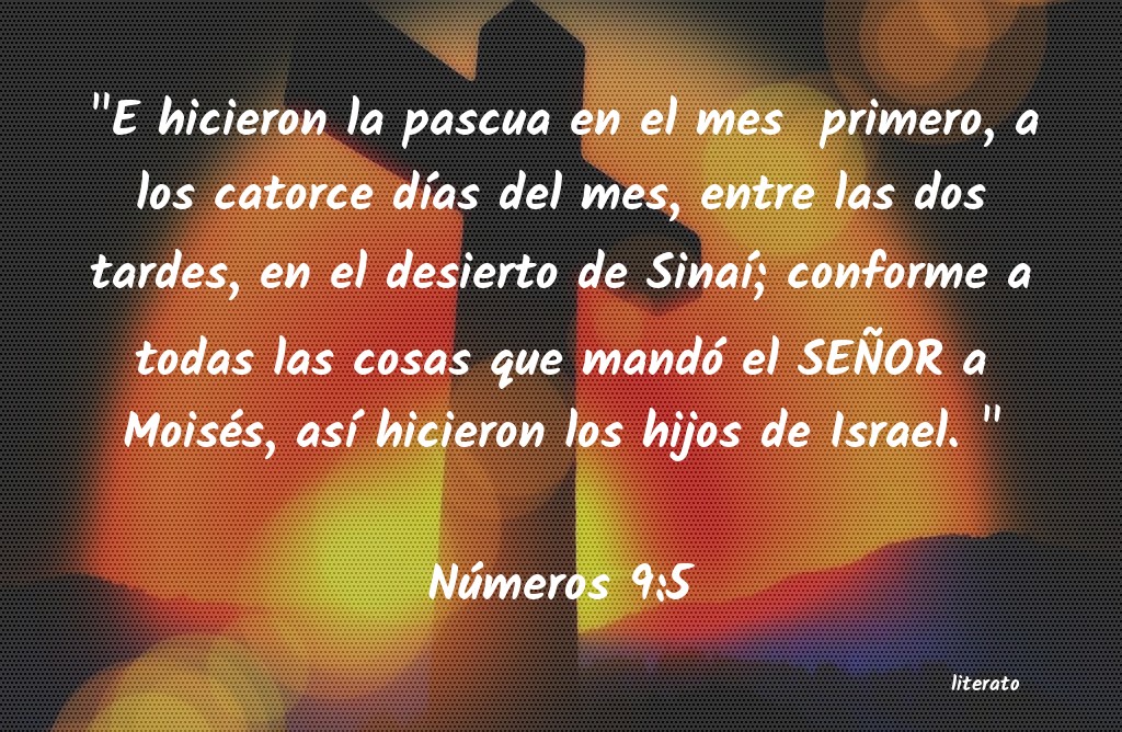 La Biblia Números 95