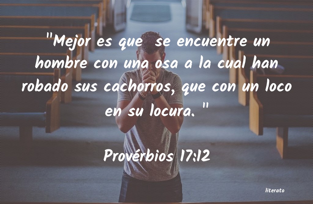 proverbios 17 12 biblia catolica