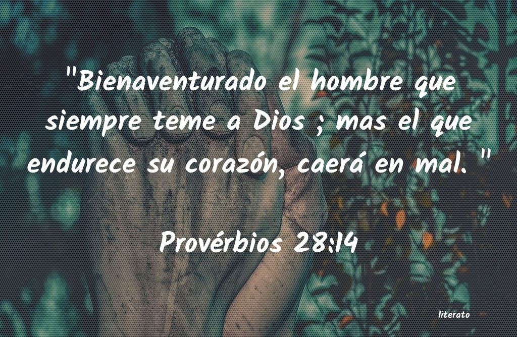 La Biblia Proverbios 28 14