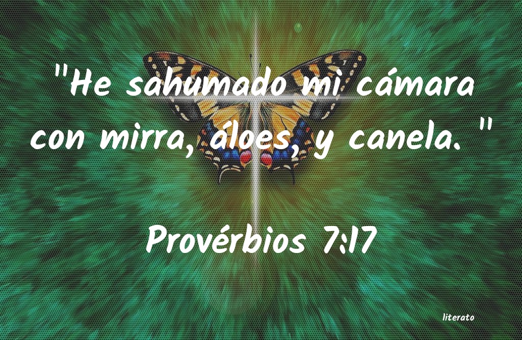 proverbios 17 7 biblia catolica
