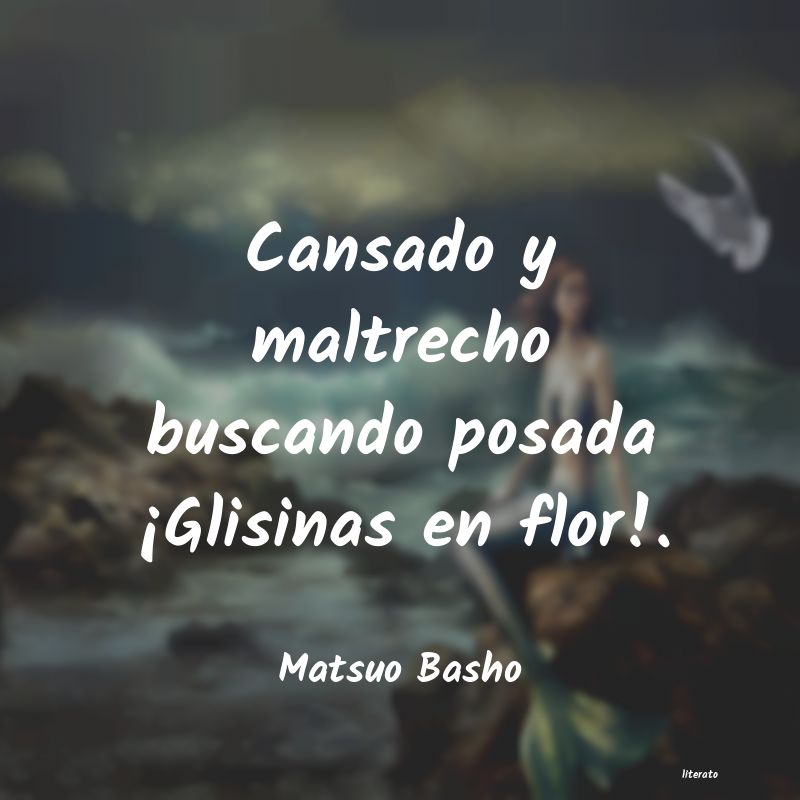 Frases de Matsuo Basho