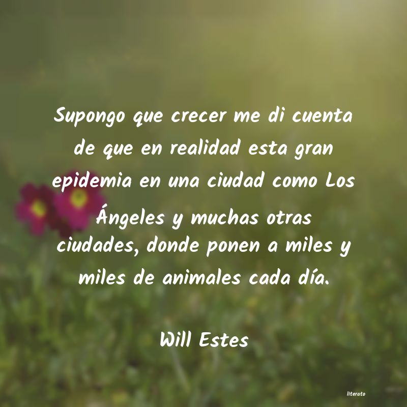 Frases de Will Estes