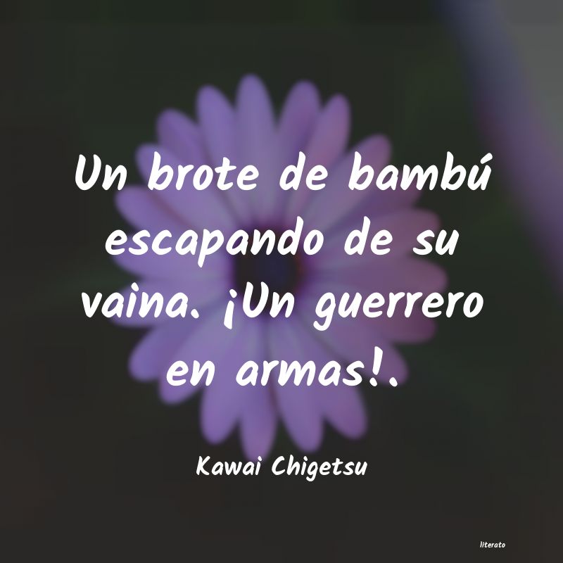 Frases de Kawai Chigetsu