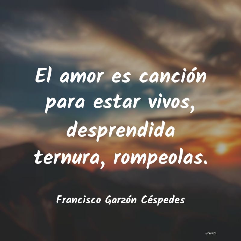 Frases de Francisco Garzón Céspedes