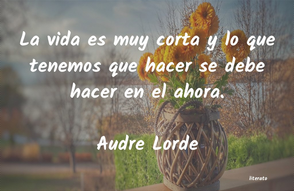 frases de Audre Lorde
