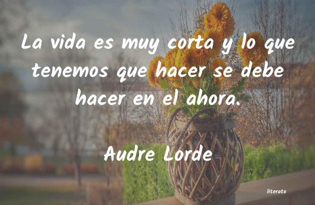 Frases de Audre Lorde