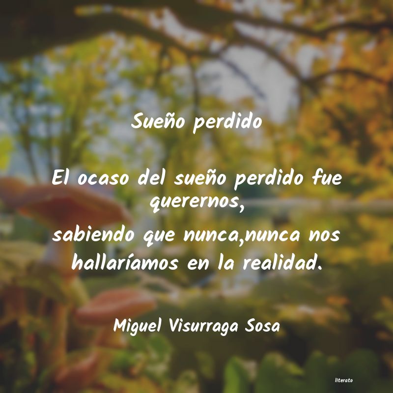 Frases de Miguel Visurraga Sosa