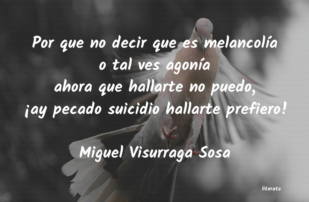 Frases de Miguel Visurraga Sosa