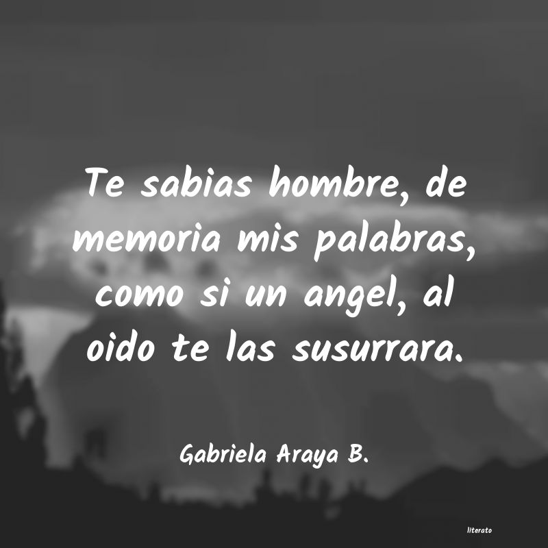Frases de Gabriela Araya B.