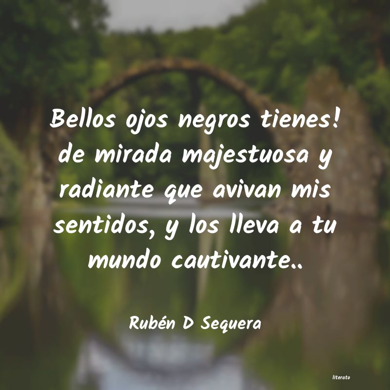 Frases de Rubén D Sequera