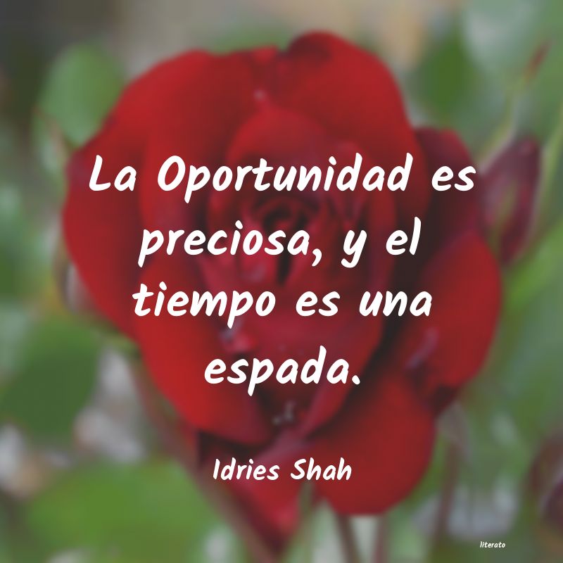 frases de Idries Shah