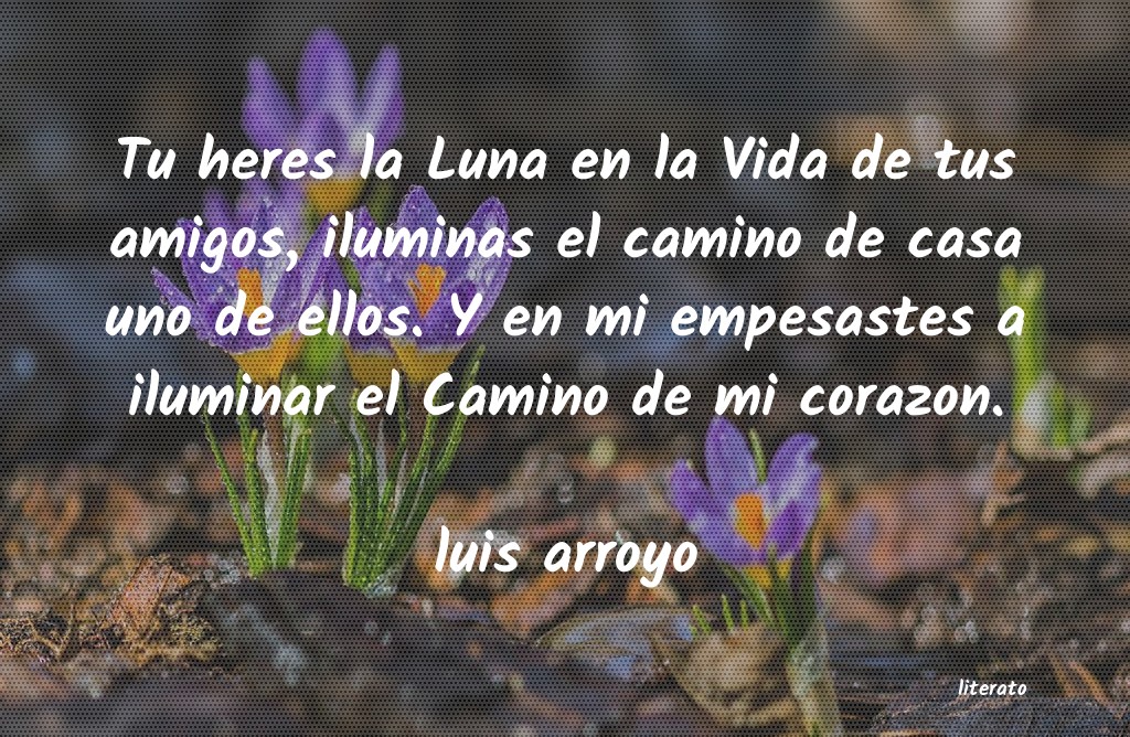 frases de luis arroyo