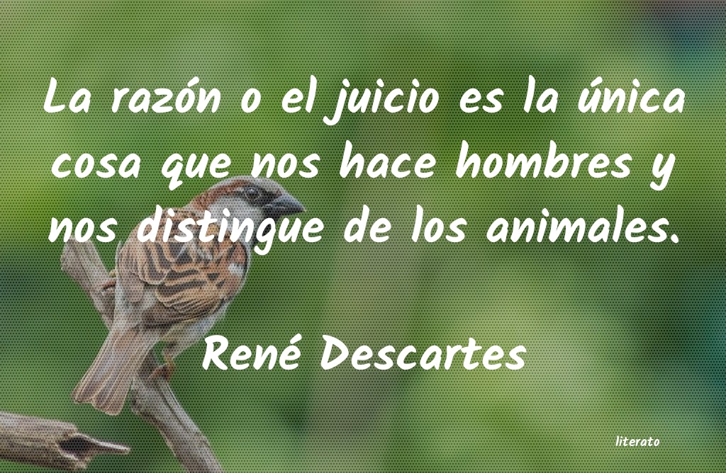 frases de René Descartes