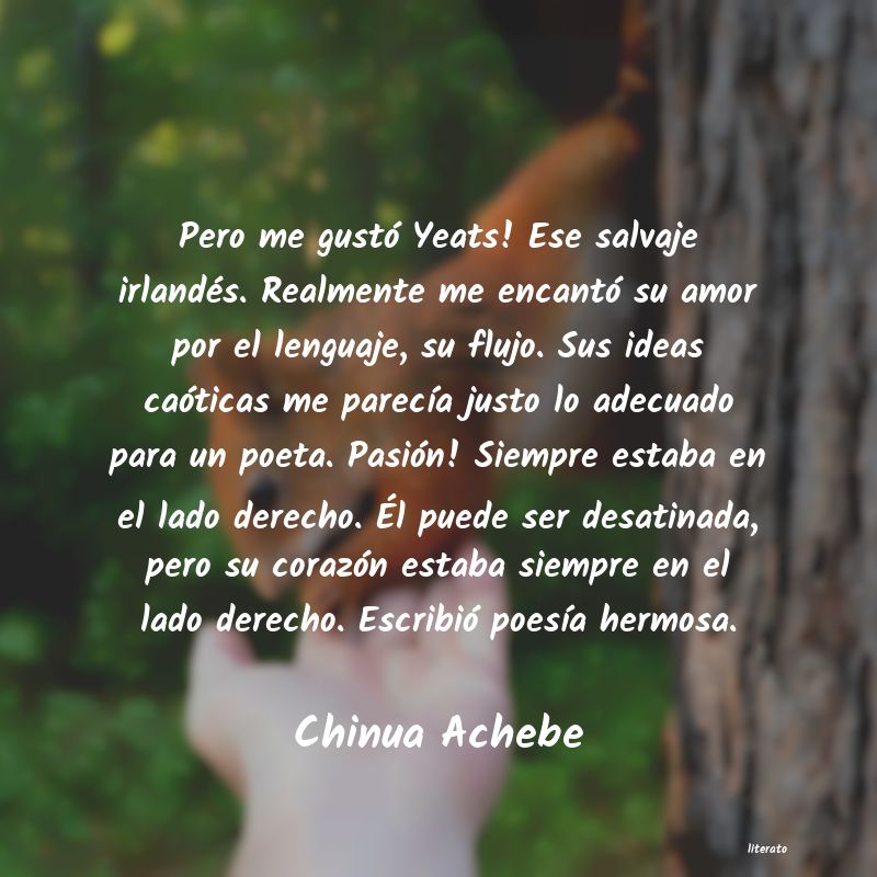 Frases de Chinua Achebe