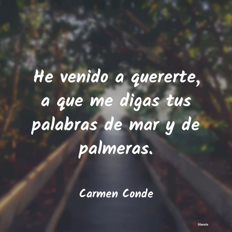 frases para el dÃ­a del carmen