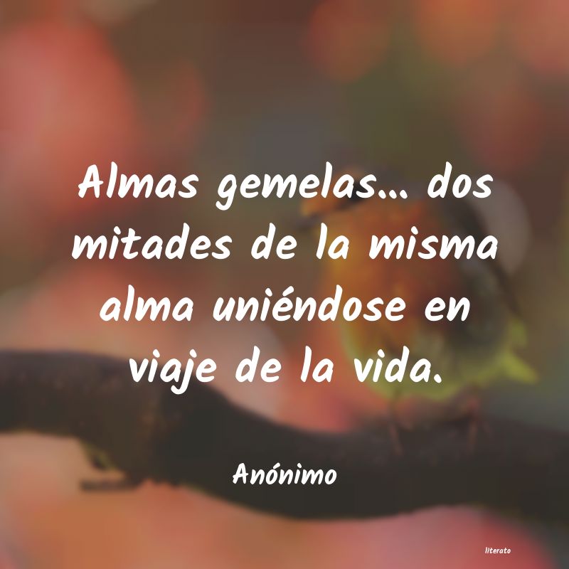 Almas gemelas - Literato