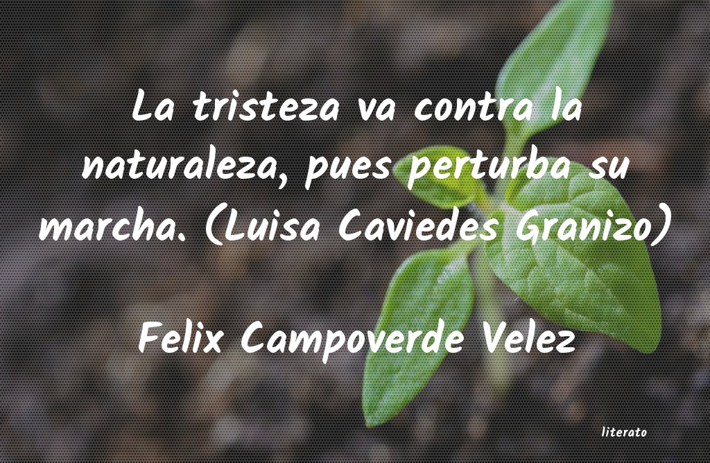 Frases de Felix Campoverde Velez