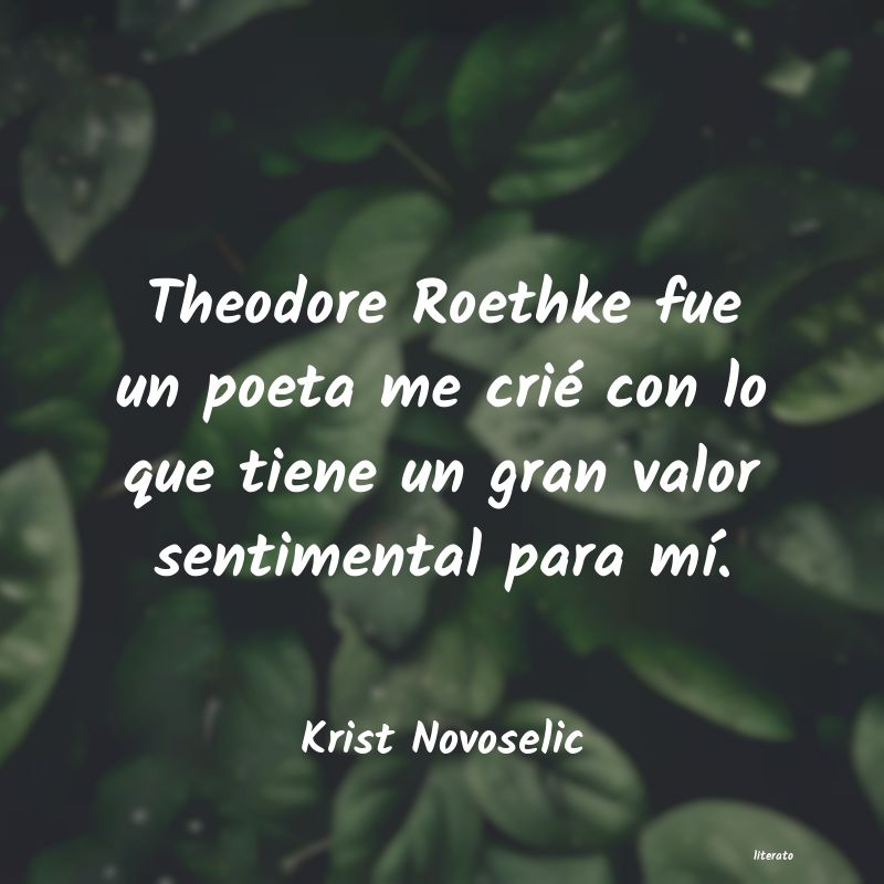 Frases de Krist Novoselic