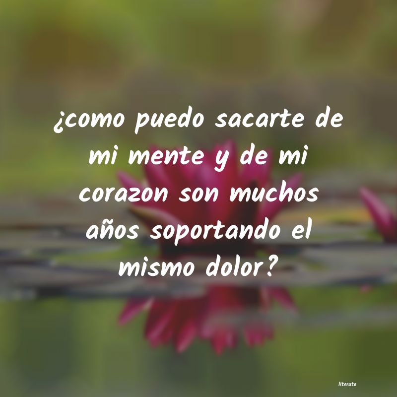 frases