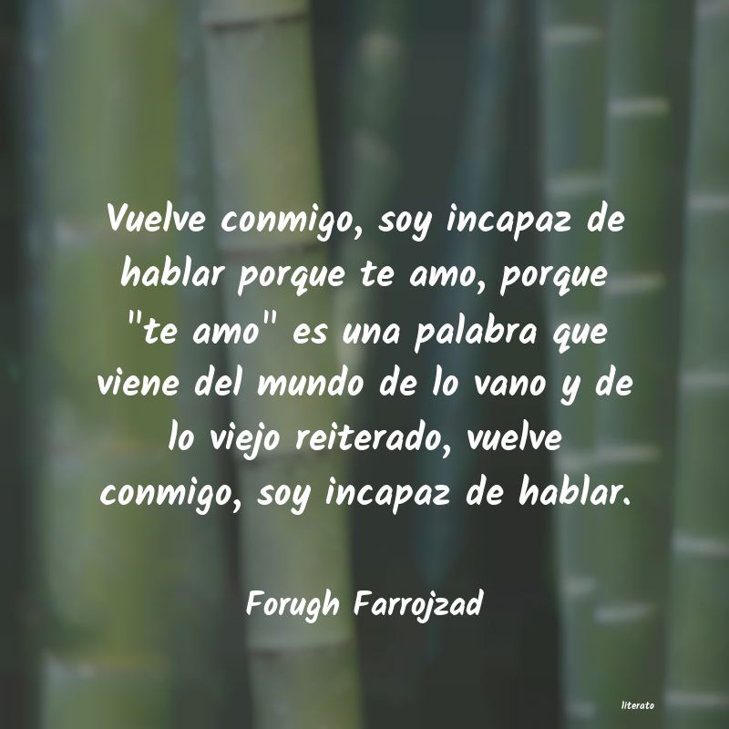 Frases de Forugh Farrojzad