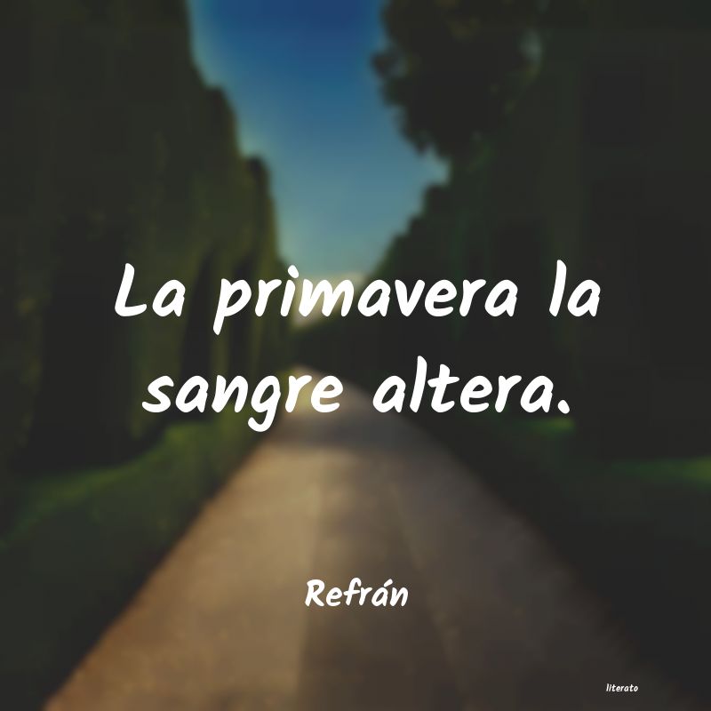 frases de Refrán