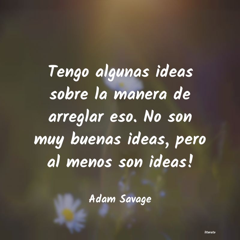 Frases de Adam Savage