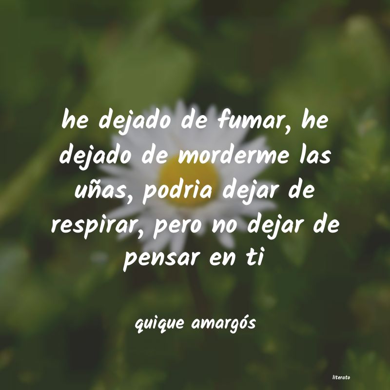 Frases de quique amargós