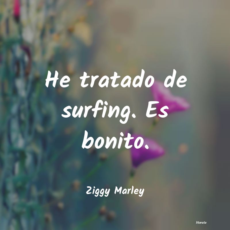 Frases de Ziggy Marley