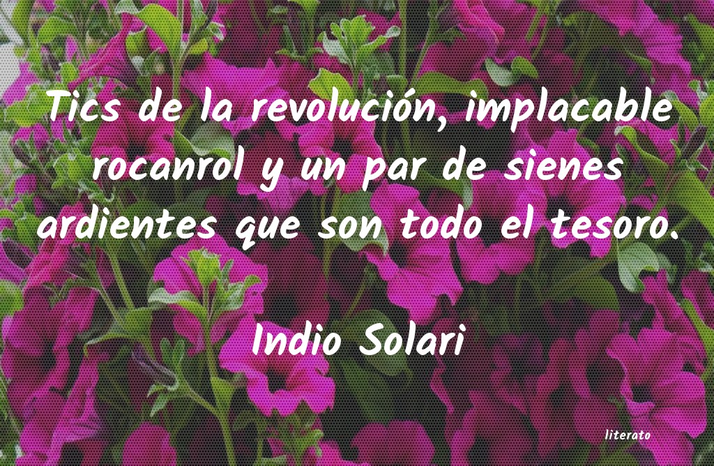 frases de Indio Solari