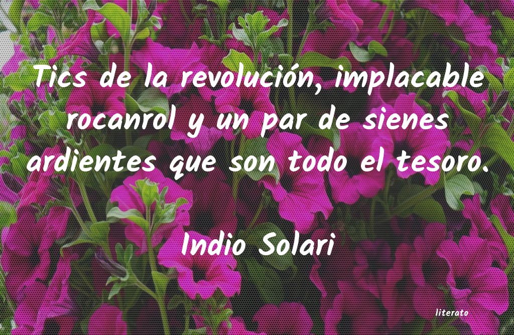 Frases de Indio Solari