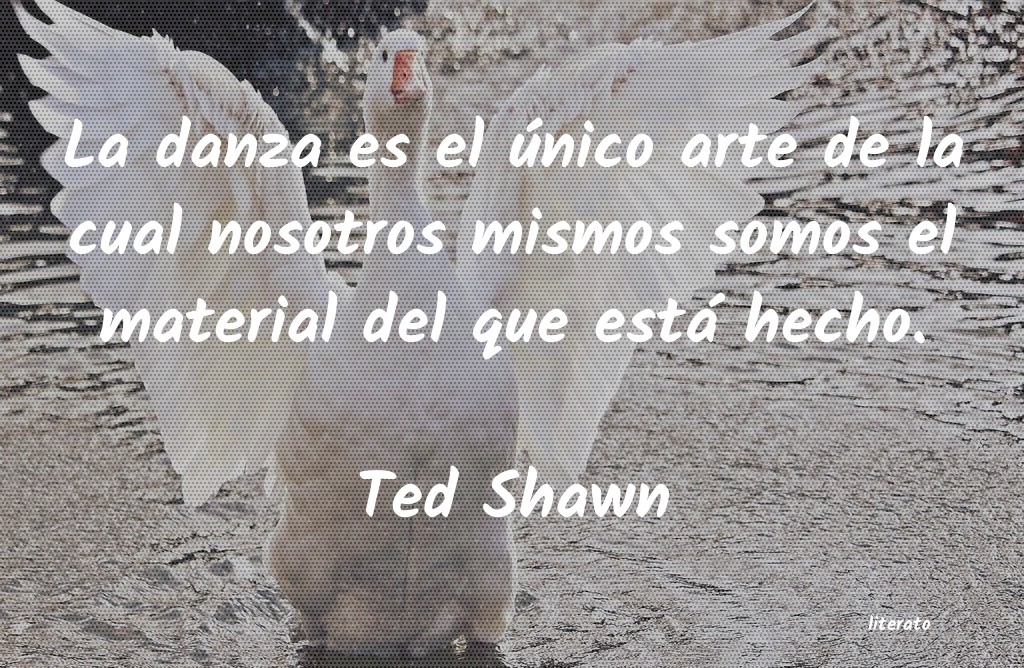 Frases de Ted Shawn