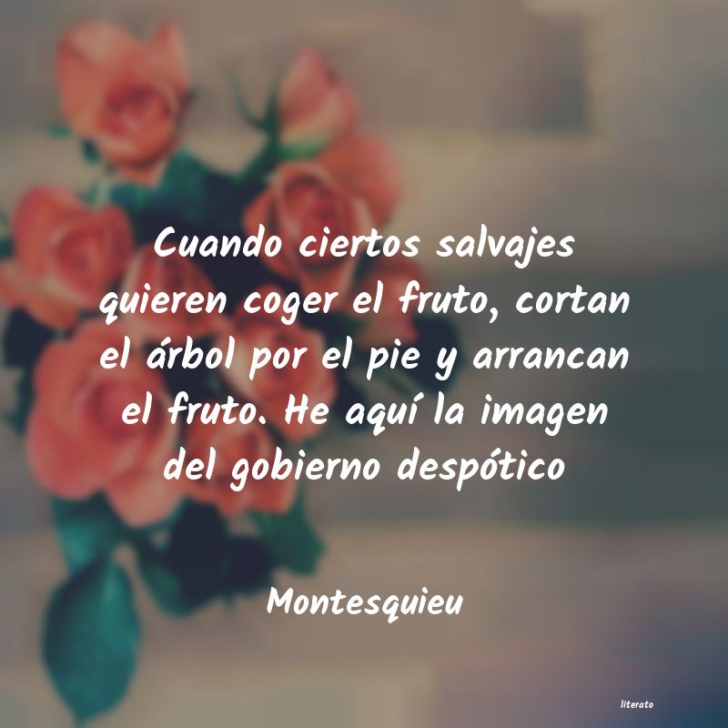 frases de Montesquieu