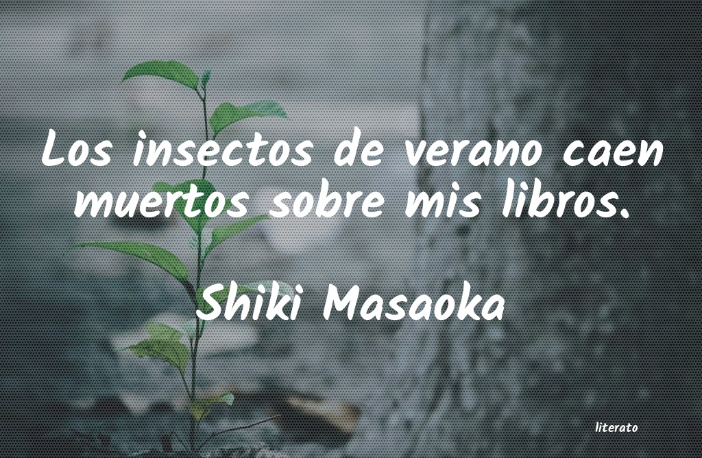 frases de Shiki Masaoka