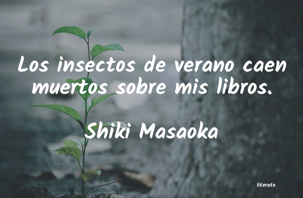 Frases de Shiki Masaoka