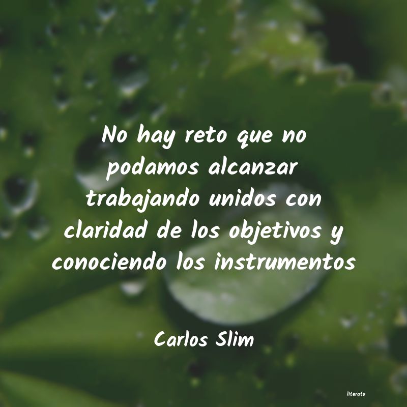 Frases de Carlos Slim