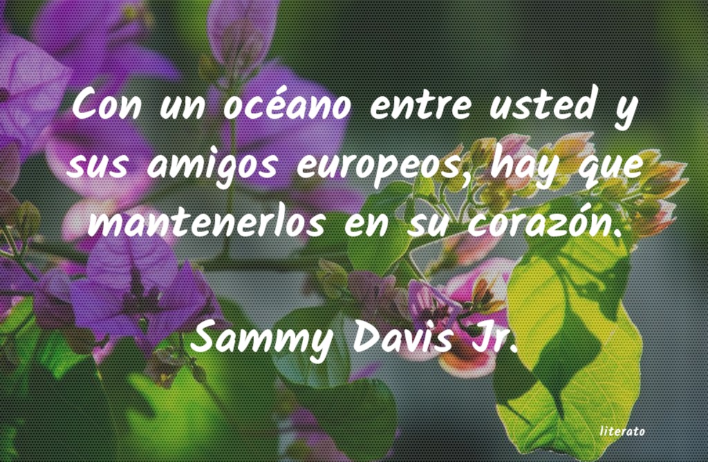 Frases de Sammy Davis Jr.